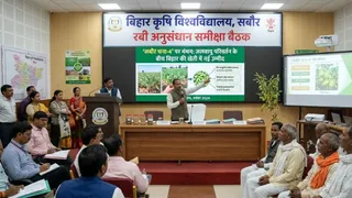 प्रतीकात्मक तस्वीर