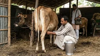 एआई द्वारा जेनरेट इमेज।
