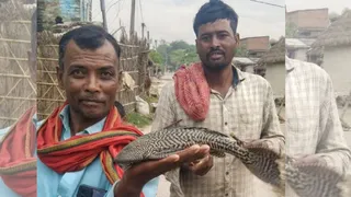 आर्मर्ड कैटफिश दिखाते मछुआरे।