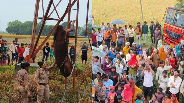 जौनपुर में प्रेमी से शादी की जिद में टावर पर चढ़ी दो बच्चों की मां, ढाई घंटे बाद उतरी नीचे
