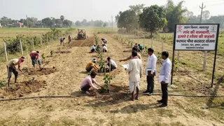 Bhagalpur Fruit Farming Subsidy: बागवानी से मालामाल होंगे किसान। प्रतीकात्मक तस्वीर