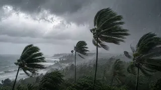 WMO ने अलनीनो के चरम दौर की चेतावनी दी।