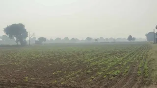 हरियाणा में 'जियोस्टैक' ऐप शुरू।