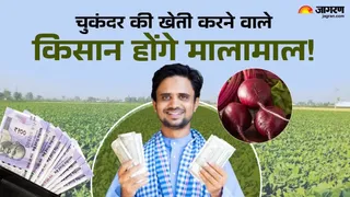 प्रतीकात्मक फोटो