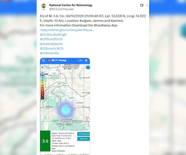 earthquake_jammus