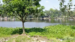 झंझारपुर शहर के बीचोंबीच स्थित ऐतिहासिक महारानी तालाब।