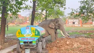 रामनगर की रामलीला में आजमगढ़ से आया था मस्तक।