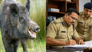 मृत व्यक्ति पर सूअर मारने का केस दर्ज