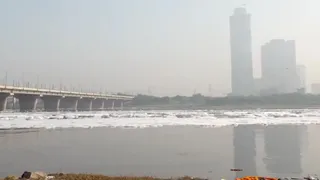 यमुना नदी जहरीले झाग से ढका हुआ यह दृश्य कालिंदी कुंज क्षेत्र का है। वीडियो ग्रैब