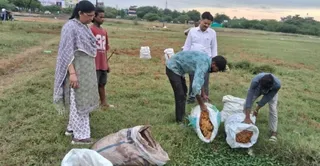 दहेली सुजानपुर में मिठाई की दुकान से मिली रंगीन मिठाई को नष्ट करती खाद्य विभाग की टीम। खाद्य विभाग