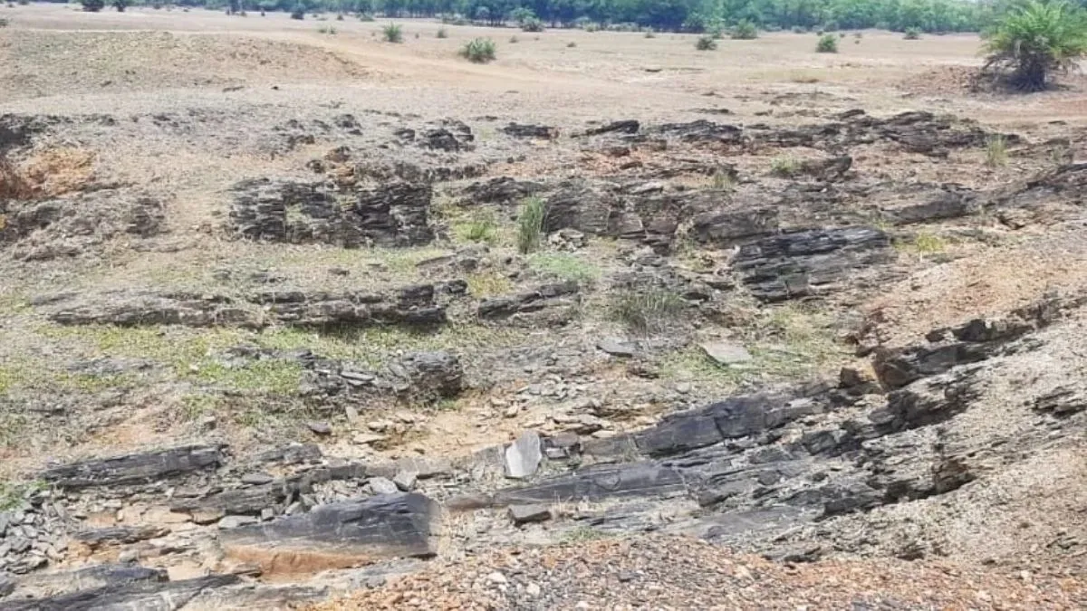 Jamui Gold Mine Bihar 44 Percent Gold Reserves Await Mining (4)