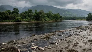 अलीपुरद्वार की संकोश नदी हुई काली (यह तस्वीर AI की मदद से बनाई गई है।)