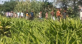 कांबिंग कर रही वन विभाग की टीम। जागरण