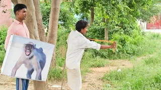News Article Hero Image