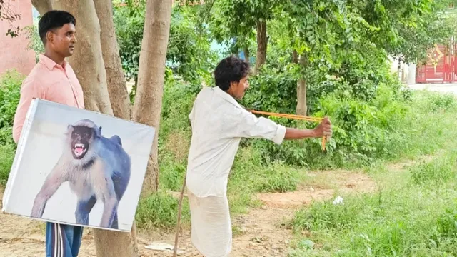 बुलंदशहर में बंदरों का इतना खौफ कि लंगूर के बैनर और मुखौटे लेकर चलने लगे लोग, गुलेल भी थामा 
