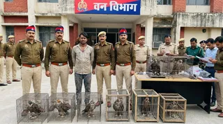 इस फोटो को AI के माध्यम से तैयार किया गया है।