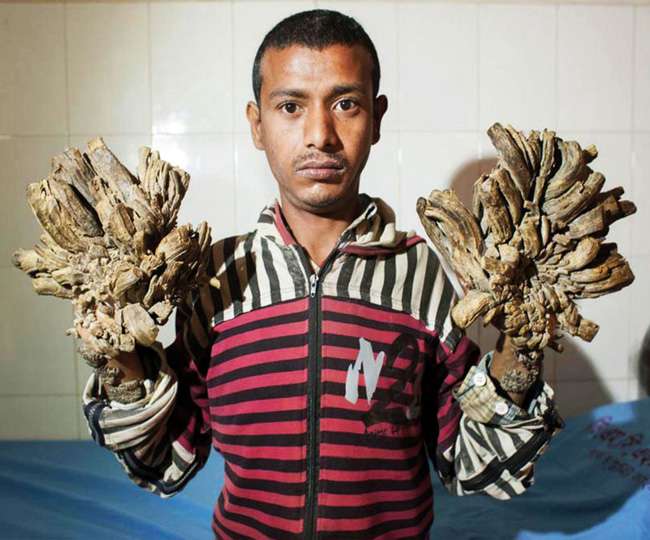 News Article Hero Image