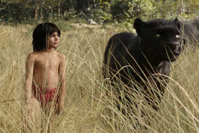 News Article Hero Image