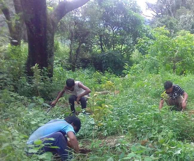 इस शिक्षक ने पुश्तैनी जमीन पर बनाई 'अटल स्मृति' वाटिका