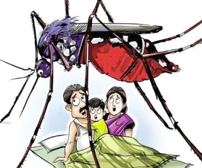दून में डेंगू का दूसरा मामला आया सामने, हरिद्वार निवासी युवक में पुष्टि