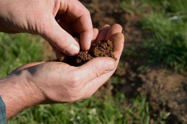 Government new initiatives to improve the soil health