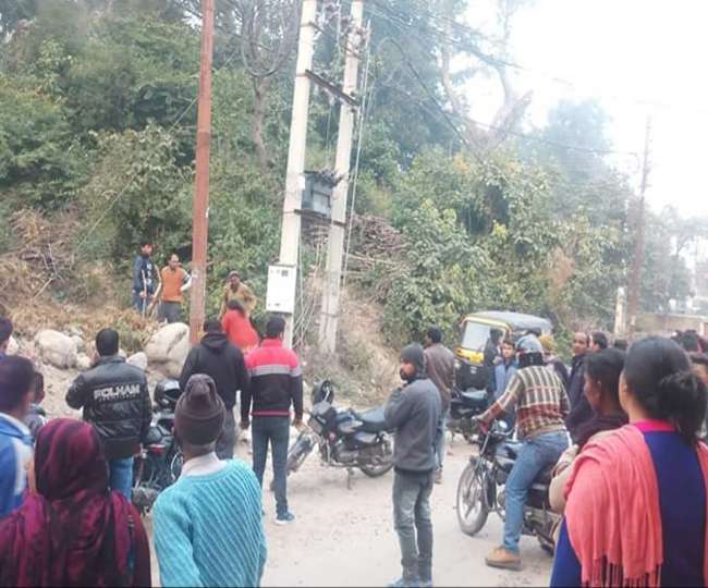 जंगल में बाघिन को देख पेड़ पर चढ़ा युवक, बीवी ने भागकर बचाई जान