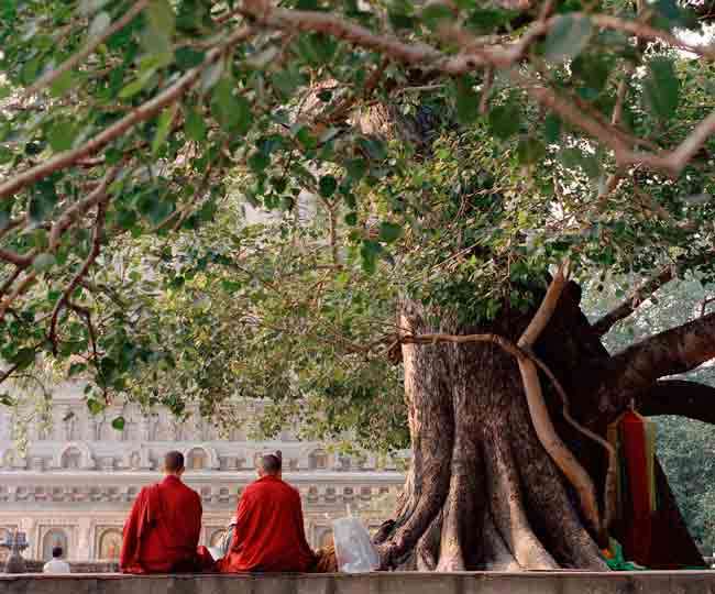 à¤¬à¥à¤§à¤à¤¯à¤¾ à¤à¤° à¤¬à¥à¤§à¤¿à¤µà¥à¤à¥à¤· à¤à¥ à¤ªà¥à¤à¤¾ à¤¹à¥ à¤®à¤¹à¤¤à¥à¤µ à¤à¥ à¤²à¤¿à¤ à¤à¤®à¥à¤ à¤ªà¤°à¤¿à¤£à¤¾à¤®