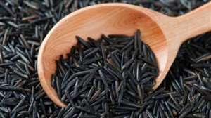 चंदौली जिले में होगी काले धान की खेती