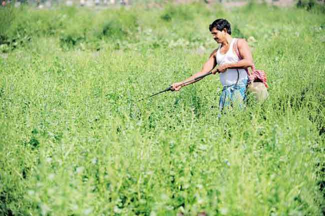 मुनाफे वाली खेती के लिए किसान अपनाएं आधुनिक तकनीक