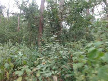 News Article Hero Image