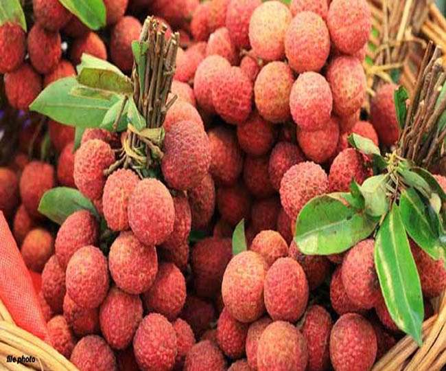 फिटनेस फिक्रमंद हैं तो गर्मियों में इस फल को खाने से मत चूकना