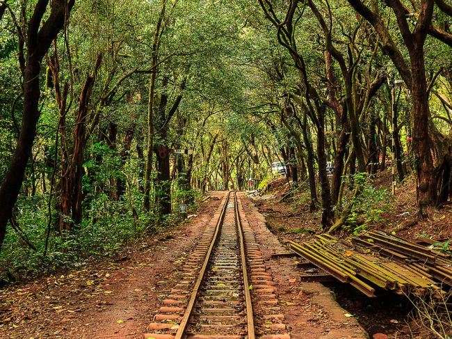 Travel Destinations in Monsoon: मानसून में महाराष्ट्र की यह मनमोह लेने वाली जगहों पर घूमना ना भूले 9 भारत का सबसे छोटा हिल स्टेशन माथेरान, जहां जान हथेली पर रखकर पर्यटक आते हैं घूमने -