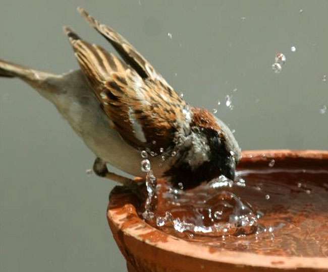  Ncr Help Thirsty 