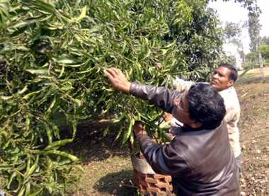 News Article Hero Image