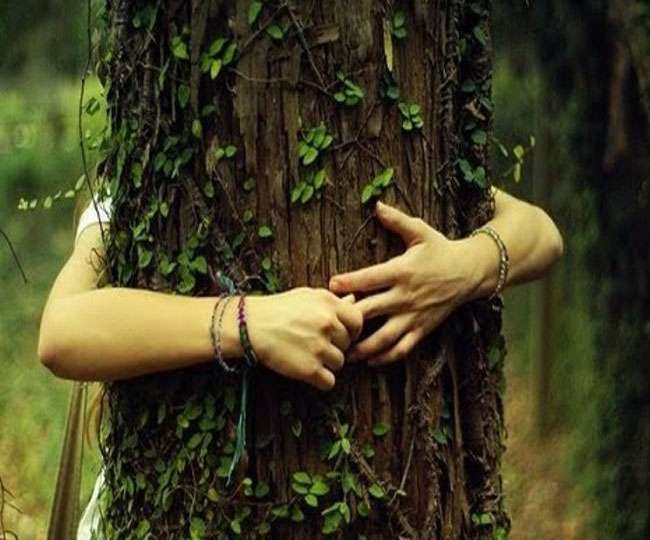 पर्यावरण के पहरे दार बने शिक्षक