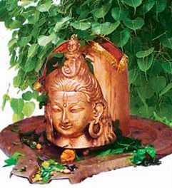 शिवजी के प्रतिनिधि हैं वृक्ष - Trees are representative of Shiva