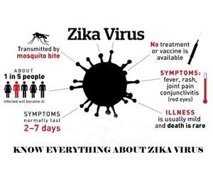Zika virus curacao 2019