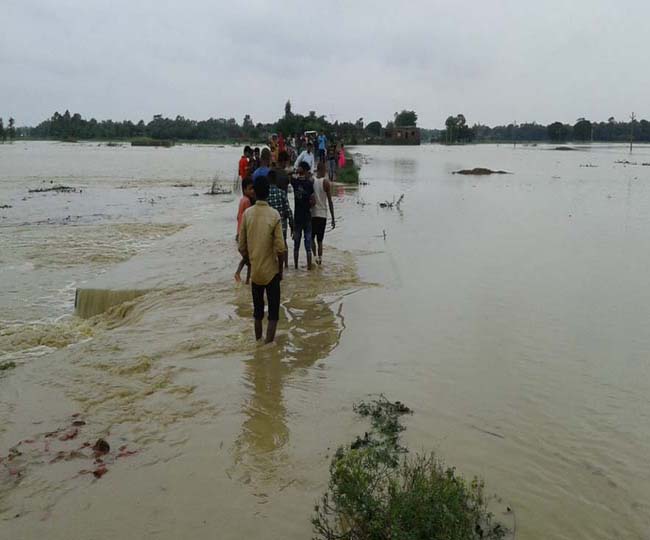 बिहार में कोसी ने धारण किया विकराल ...