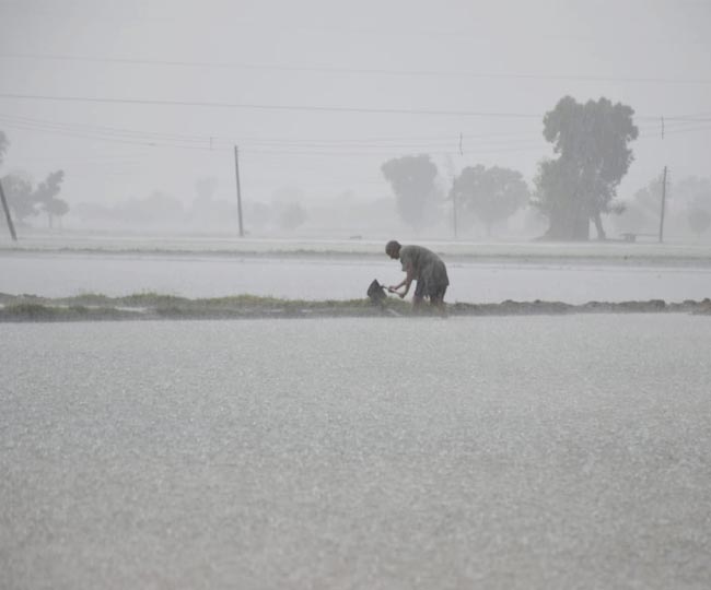 Haryana rain