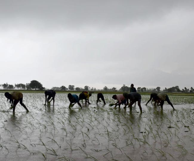 panipat rain