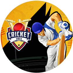 essay on bill gates in hindi Cricket