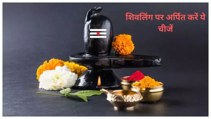 Shivling Puja: नए साल के दिन पहले शिवलिंग पर अर्पित करें ये चीजें, खुल जाएंगे किस्मत के बंद दरवाजे