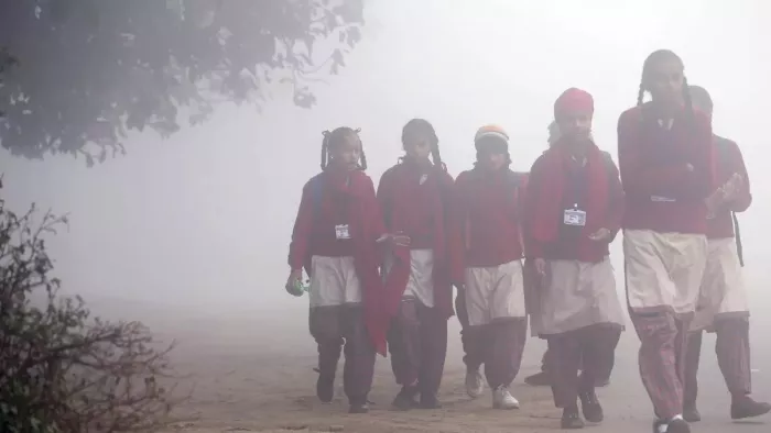 पंजाब में घनी धुंध के साथ कड़ाके की ठंड (प्रतीकात्मक फोटो)