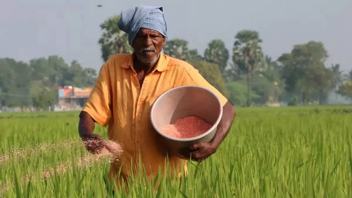 मोदी सरकार का नए साल पर किसानों को तोहफा, DAP के लिए स्पेशल सब्सिडी का एलान; क्या अब सस्ती होगी खाद? - Modi government announced additional subsidy for DAP; Will the fertilizer