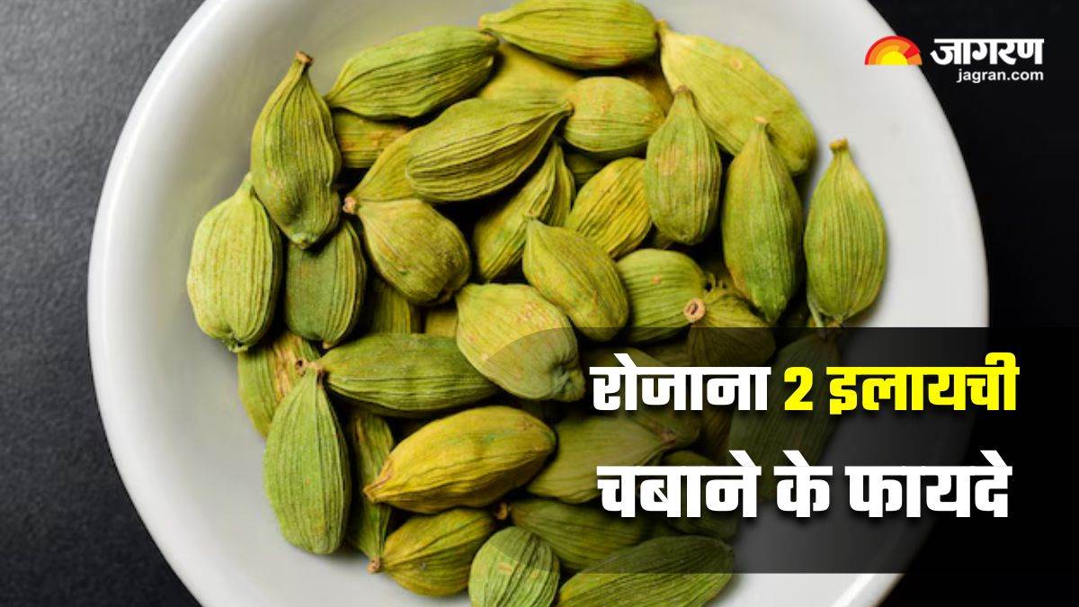 https://www.jagranimages.com/images/newimg/01012025/01_01_2025-green_cardamom_benefits_23859441.jpg