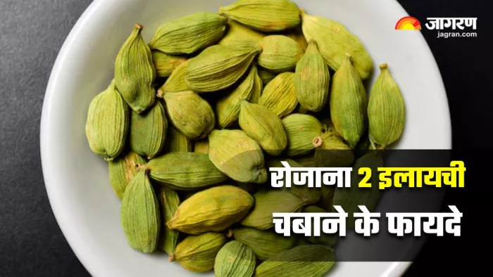 रोजाना डिनर के बाद हरी इलायची खाने से मिलेंगे गजब के फायदे (Image Source: Freepik)