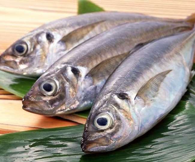 मछली उत्पादन में बढ़ोत्तरी पर जोर, मछली के निर्यात को बढ़ाने से विदेशी मुद्रा बढ़ने की उम्मीद