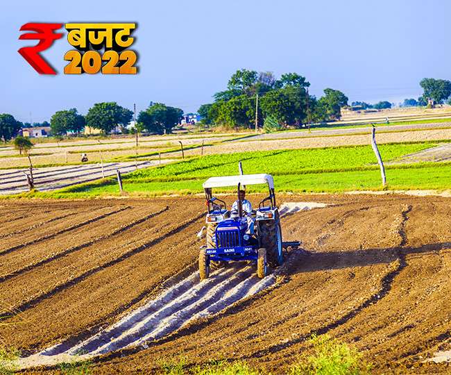 कृषि क्षेत्र का बजट 2022 Govt to promote Kisan Drones chemical free natural farming