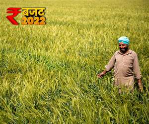  Agriculture Budget 2022: किसानों के खातों में 2.37 लाख करोड़ रुपये की MSP सीधे ट्रांसफर की जाएगी, जानिए बड़े ऐलान