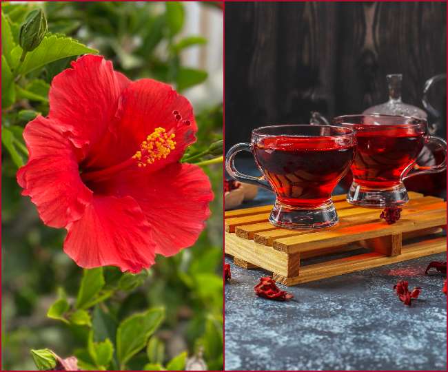 https://www.jagranimages.com/images/newimg/01022022/01_02_2022-hibiscus-tea-benefits_22430058.jpg